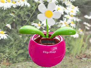 Танцующий цветок Flip Flap 